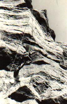 000000apeople10.jpg (24447 bytes)