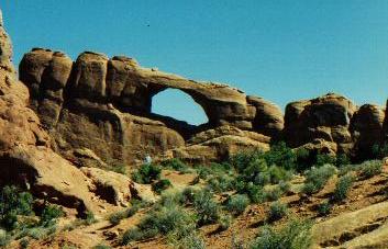 000000arizona13.jpg (22477 bytes)