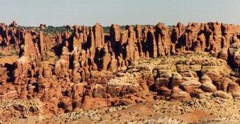 000000arizona14.jpg (22197 bytes)