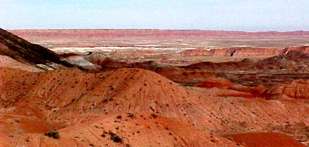 az0.JPG (35338 bytes)