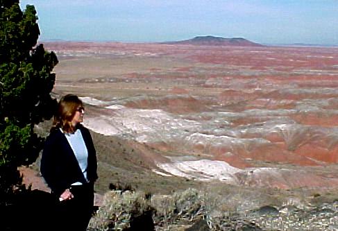 az3.JPG (30977 bytes)