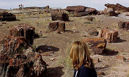 az5.JPG (56173 bytes)