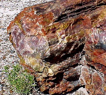 az6.JPG (73597 bytes)