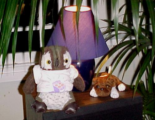 big507.JPG (36525 bytes)