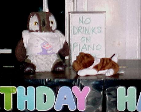 big508.JPG (28930 bytes)