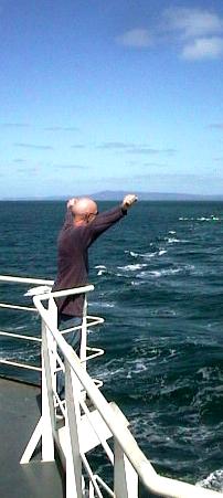 bugg1.JPG (18779 bytes)