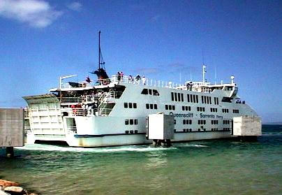 bugg2.JPG (24164 bytes)