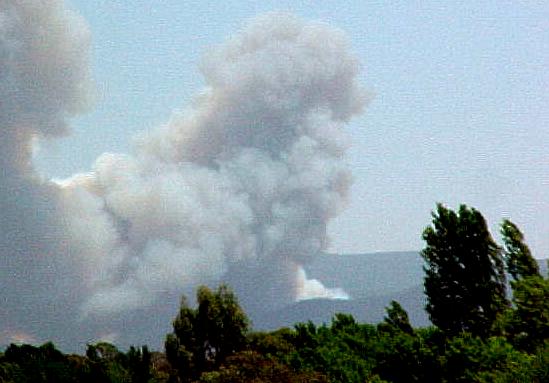 canj5.JPG (31182 bytes)