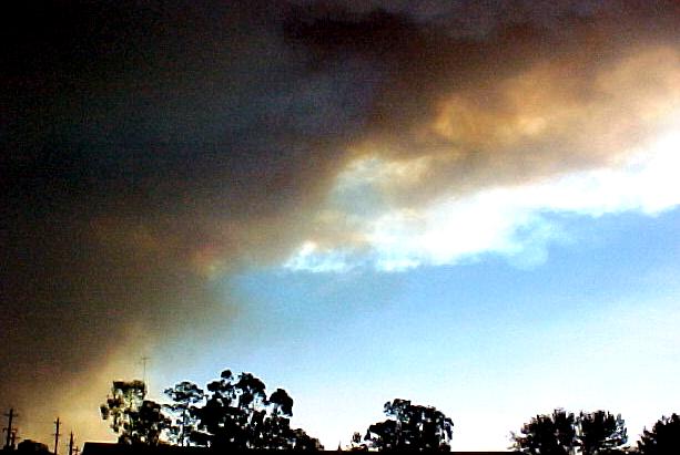 canj8.JPG (34132 bytes)