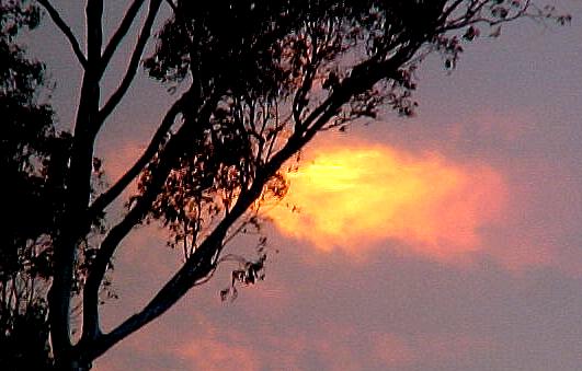 canj9a.JPG (34644 bytes)