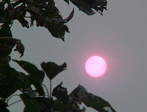 canj9d.JPG (23950 bytes)