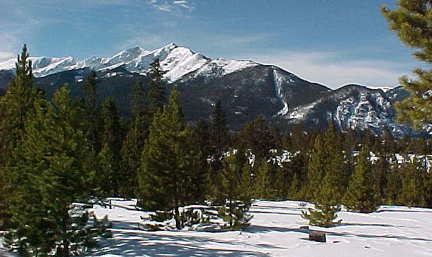 color9aa.JPG (62442 bytes)