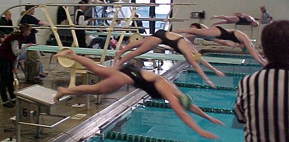 color9o.JPG (41277 bytes)