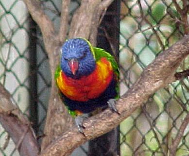 dair3.JPG (26901 bytes)