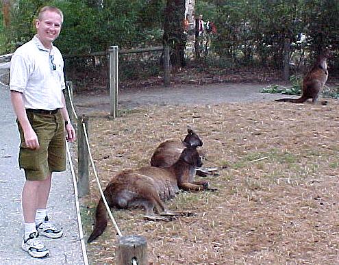 dair9.JPG (62886 bytes)