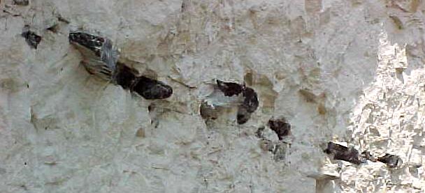 dan9b.JPG (33260 bytes)