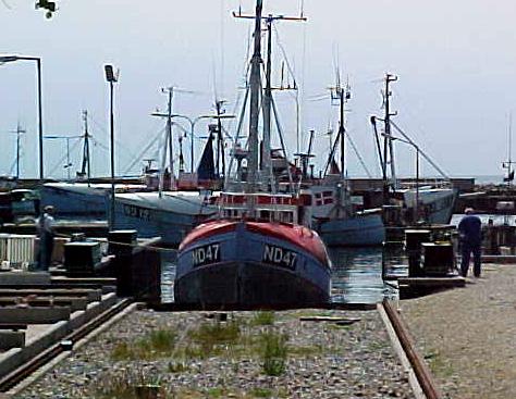 dan9c.JPG (40755 bytes)