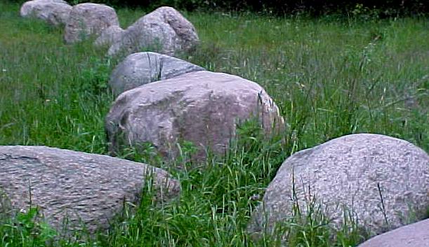 dan9za.JPG (55407 bytes)