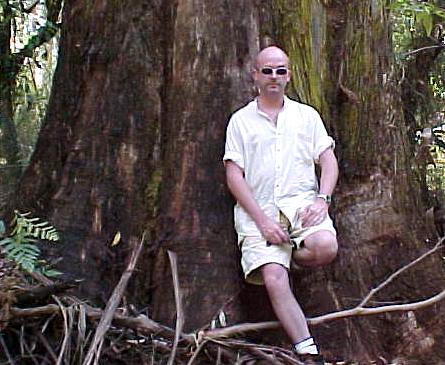 darr2.JPG (40728 bytes)