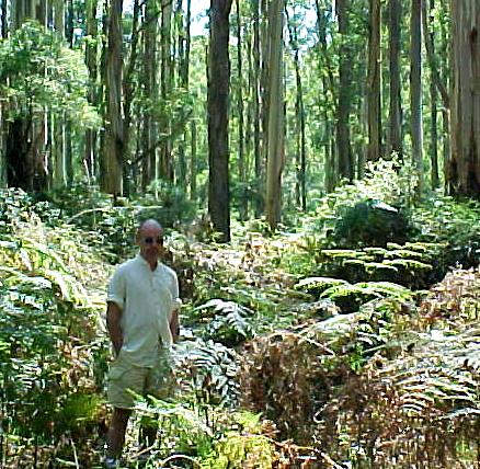 darr9.JPG (77279 bytes)