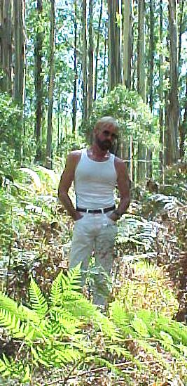 darr9a.JPG (61839 bytes)