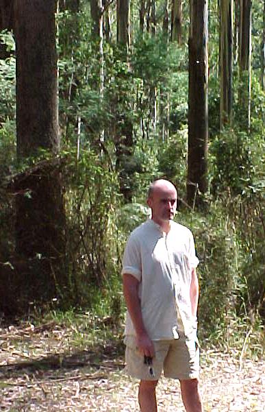 darr9c.JPG (67224 bytes)