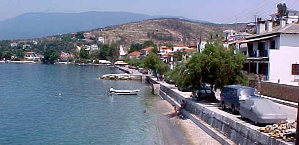 gree9n.JPG (37396 bytes)