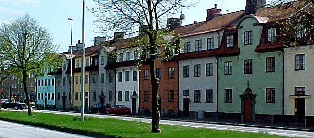 halm6.JPG (51266 bytes)