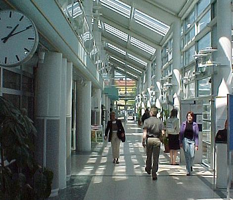 halm9.JPG (51238 bytes)