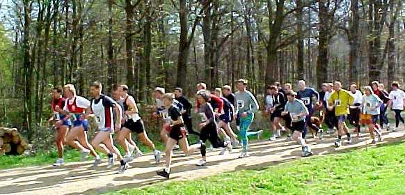 hels9c.JPG (54653 bytes)