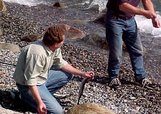 helsi4.JPG (66393 bytes)