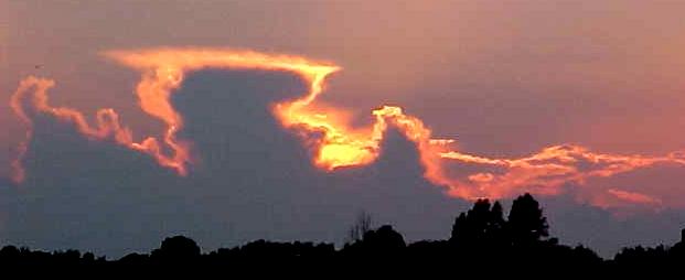 holl6.JPG (12987 bytes)