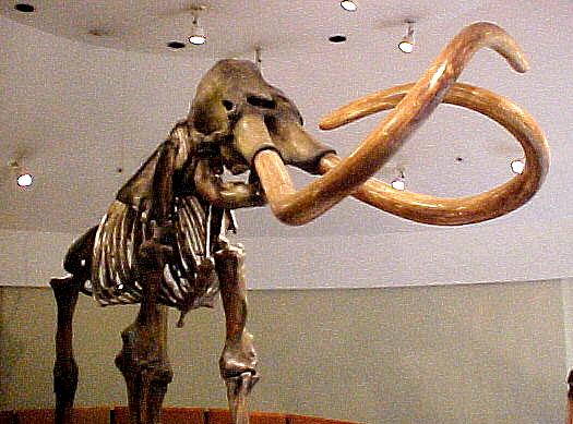 los9b.JPG (47747 bytes)