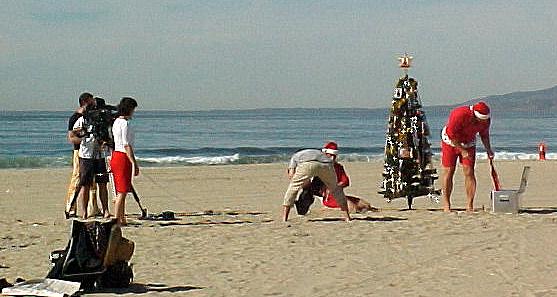 los9q.JPG (36534 bytes)