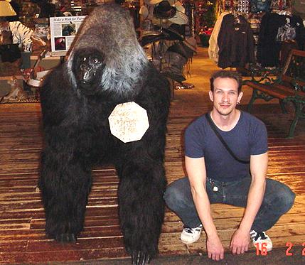 minn8n.JPG (40623 bytes)