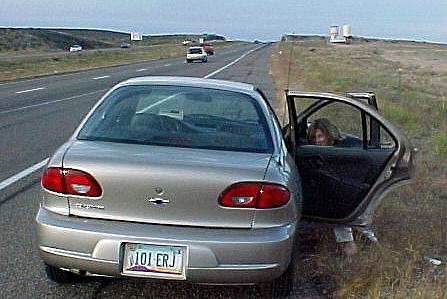 nm2.JPG (31051 bytes)