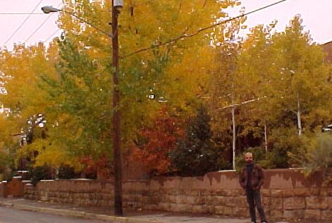 nm8.JPG (32549 bytes)