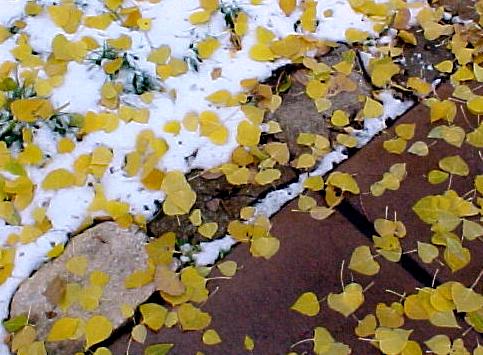 nm8a.JPG (46661 bytes)