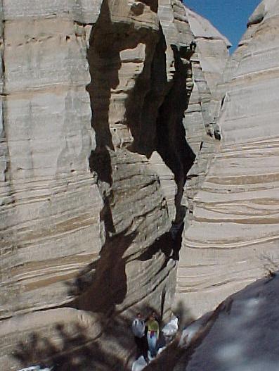 nm8j.JPG (41652 bytes)