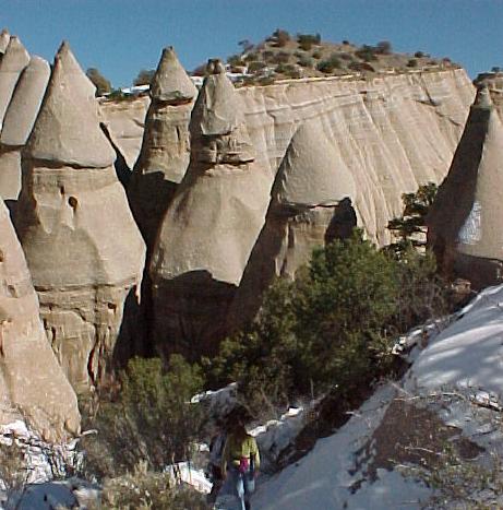 nm8n.JPG (47831 bytes)