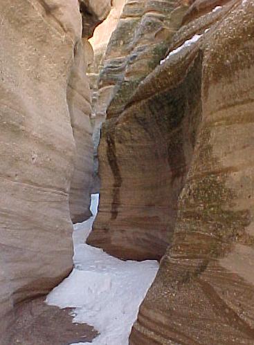 nm8q.JPG (33936 bytes)