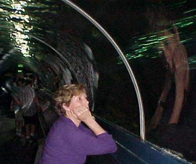 pats7a.JPG (23368 bytes)