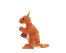 roo1.gif (11892 bytes)