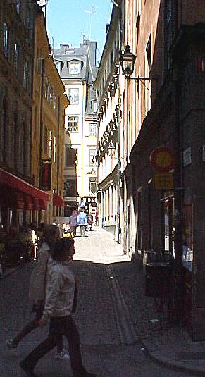 stok9l.JPG (38909 bytes)