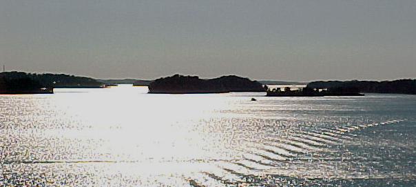 swed9p.JPG (27385 bytes)