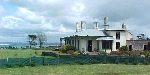 taz4a.JPG (33748 bytes)