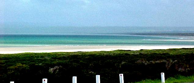 taz4c.JPG (25084 bytes)