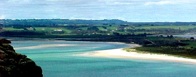 taz4e.JPG (27634 bytes)