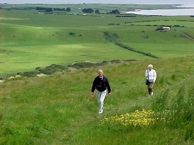 taz4f.JPG (56448 bytes)