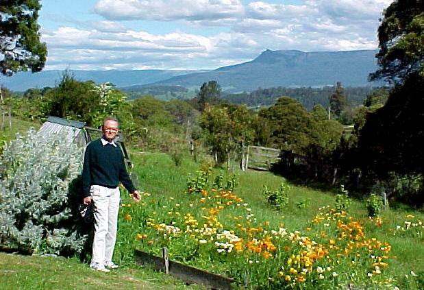 taz4h.JPG (72209 bytes)